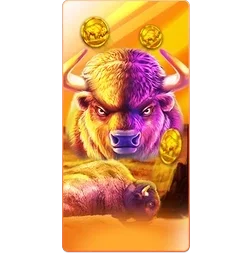 Buffalo
King slot game